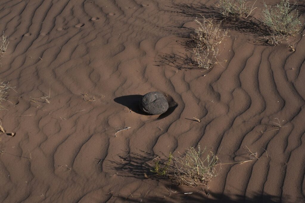 Mastering the First Impression: Your intriguing post title goes here High-angle view of desert sand ripples with sparse vegetation and a lone rock.
