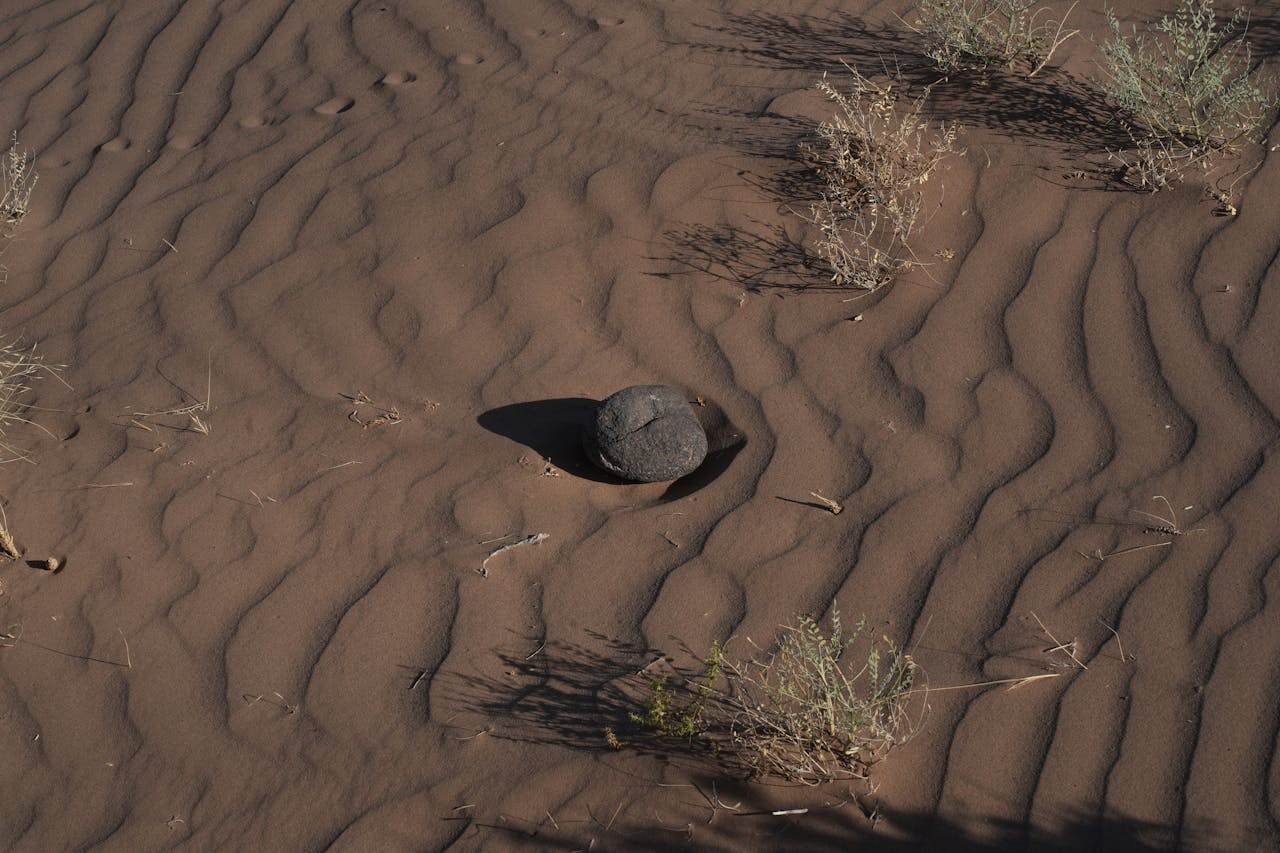 Mastering the First Impression: Your intriguing post title goes here High-angle view of desert sand ripples with sparse vegetation and a lone rock.
